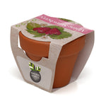 Growing Gift