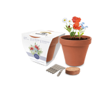 Super Express Essentials Clay Pot Gardens