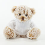 White Hoodie Bear II