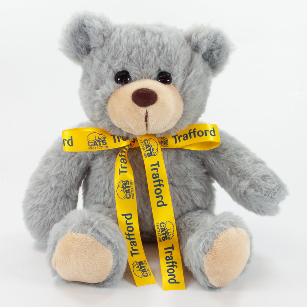 Bow Bear II 25cm Stanley Bear