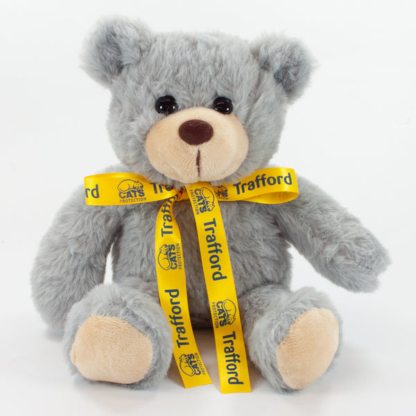 Bow Bear II 25cm Stanley Bear