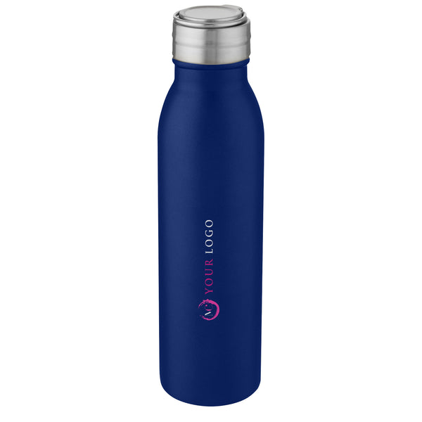 Harper 700 ml stainless steel water bottle with metal loop