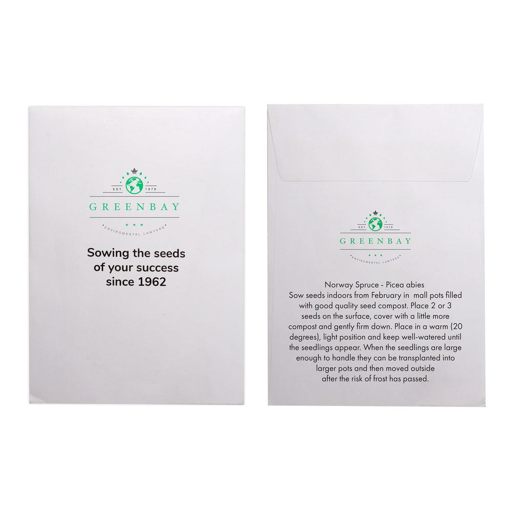 Seed Pack in White Paper Envelope Norwegian Spruce