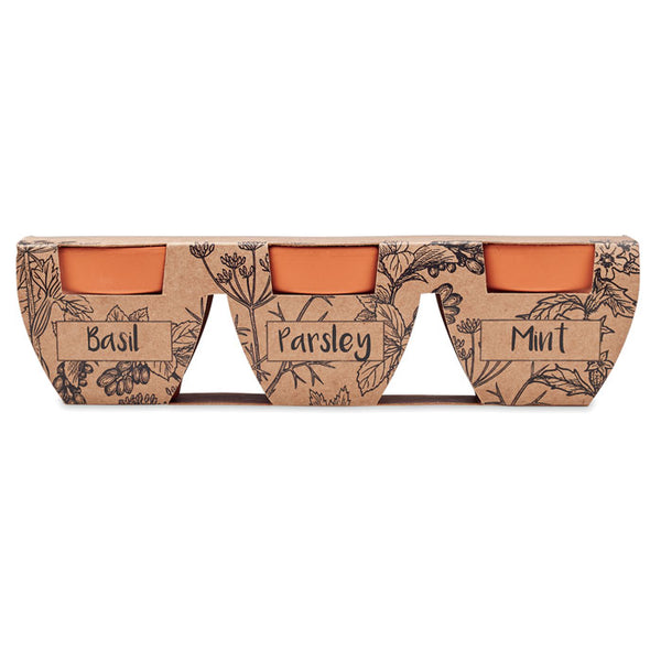 Branded Terracotta 3 herb pot set