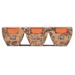 Branded Terracotta 3 herb pot set