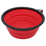 Branded Silicone Pop-Up Dog Bowl