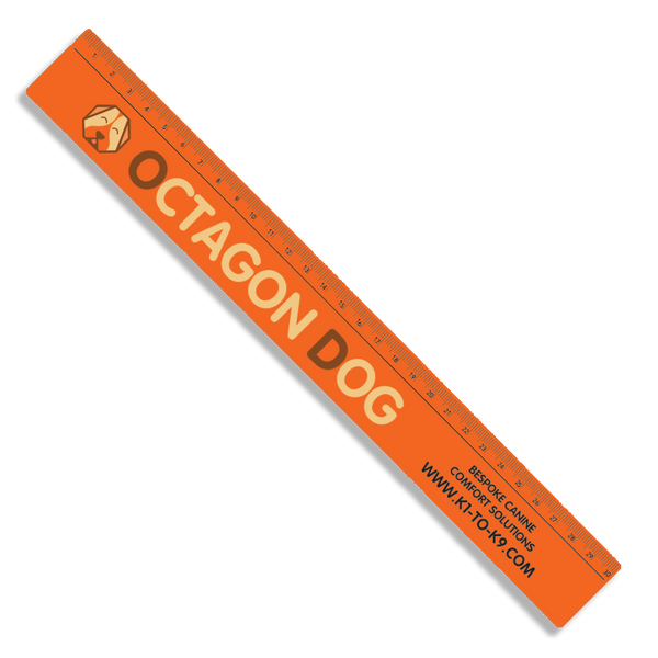 Recycled 30cm Ruler