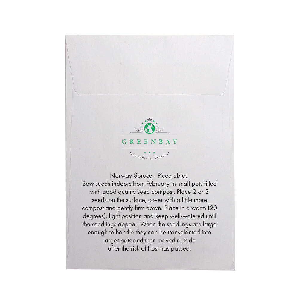 Seed Pack in White Paper Envelope Norwegian Spruce