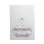 Seed Pack in White Paper Envelope Norwegian Spruce