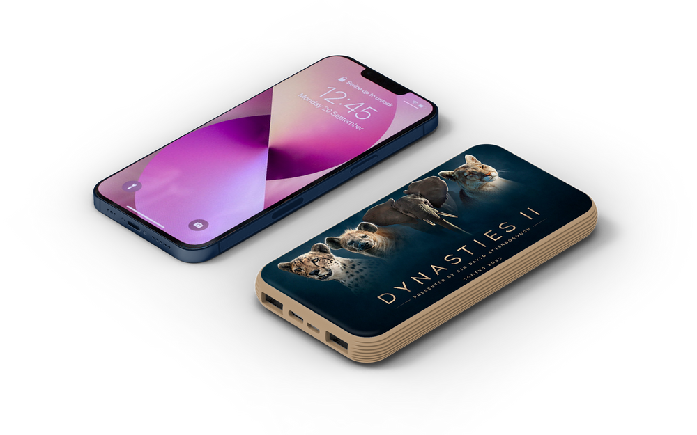 Branded Blade Power Bank