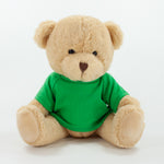Coloured T-Shirt Bear III