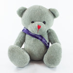 Sash Bear II 25cm Red Nose Bear