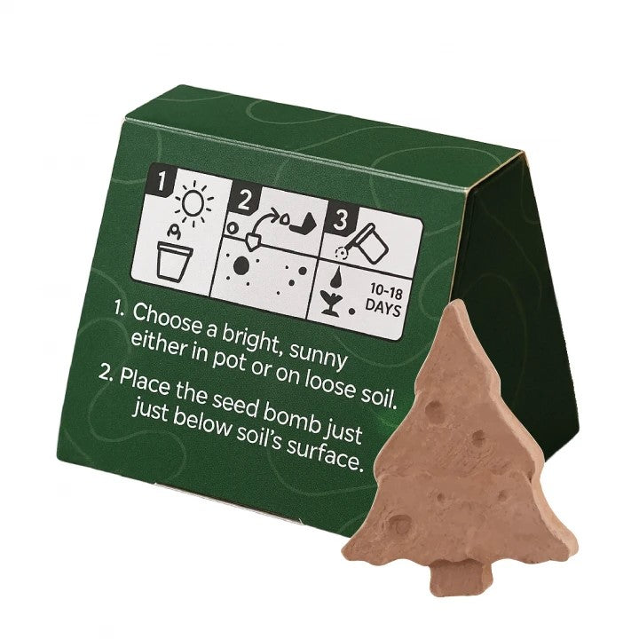 Mini Box of Tree Shaped Seed Bomb