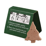 Mini Box of Tree Shaped Seed Bomb