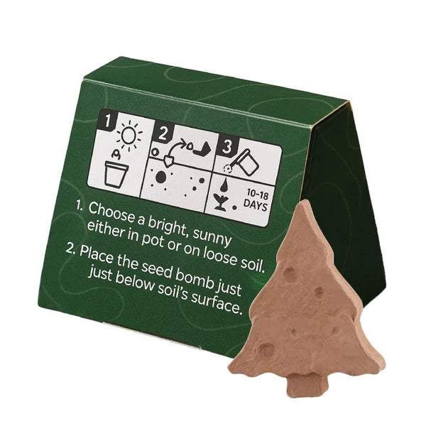 Mini Box of Tree Shaped Seed Bomb