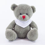 Bandanna Bear