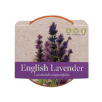 Growing Gift Lavendar