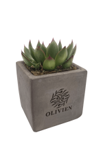 Concrete Succulent