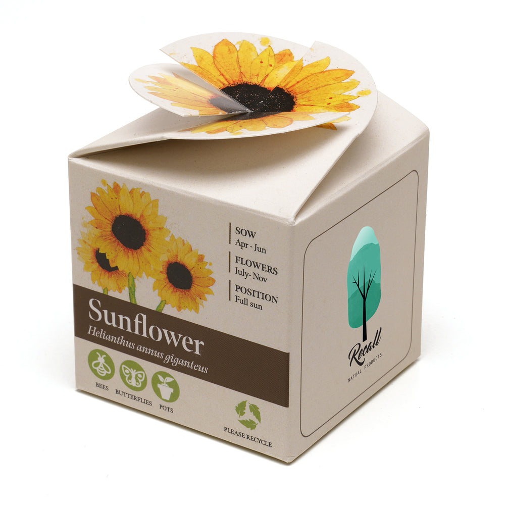 Mini Box Kit Sunflower