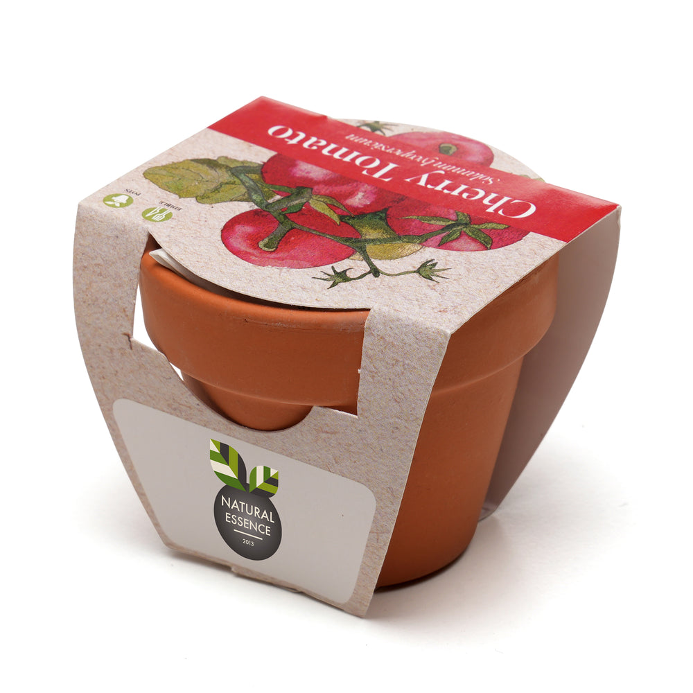 Growing Gift Cherry Tomato