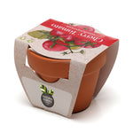 Growing Gift Cherry Tomato