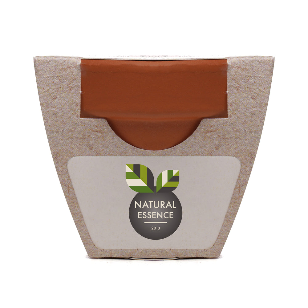 Growing Gift Lavendar