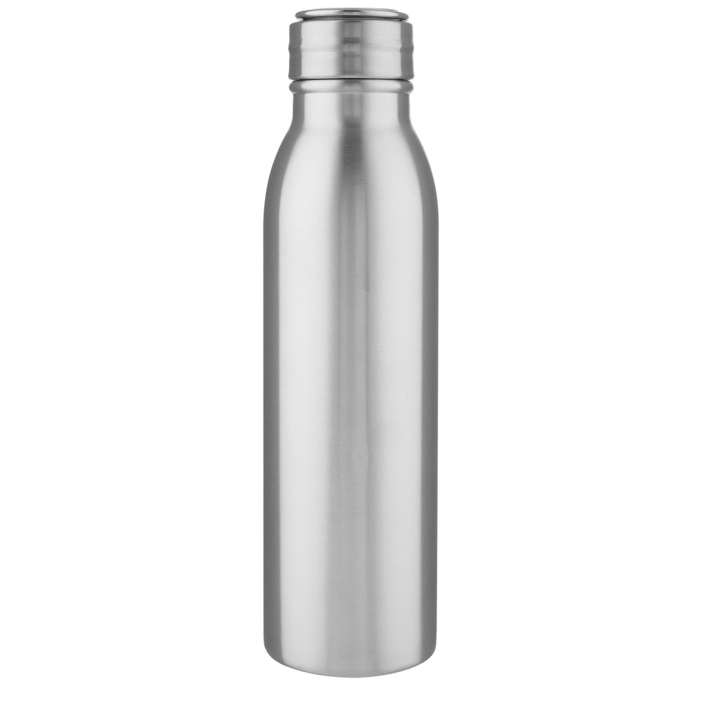 Harper 700 ml stainless steel water bottle with metal loop