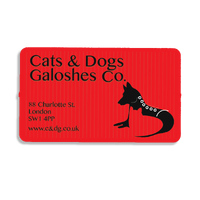 85mm x 50mm Rectangular Fridge Magnet