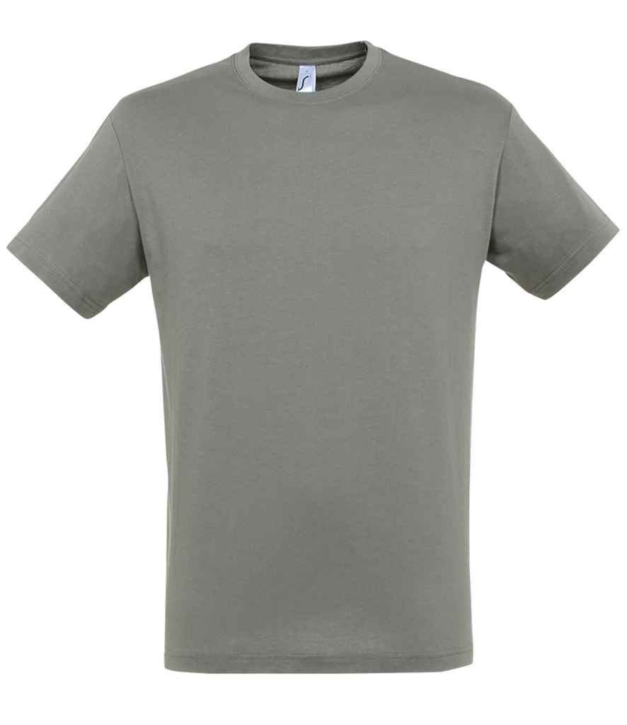 SOL'S Regent T-Shirt Zinc