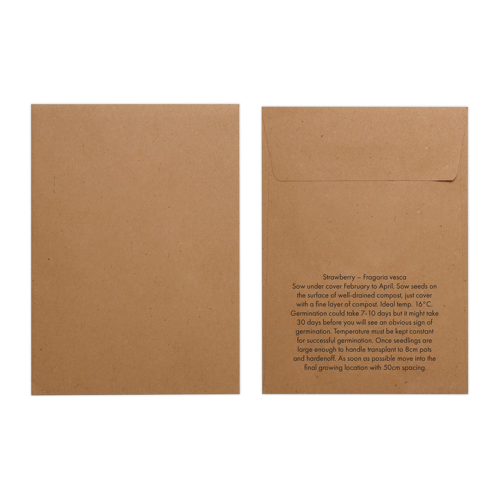 Seed Pack in Kraft Paper Envelope Strawberry