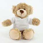 White Hoodie Bear II