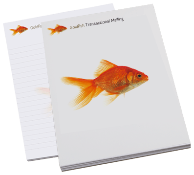Branded A4 Notepad with Wrapover Front Cover
