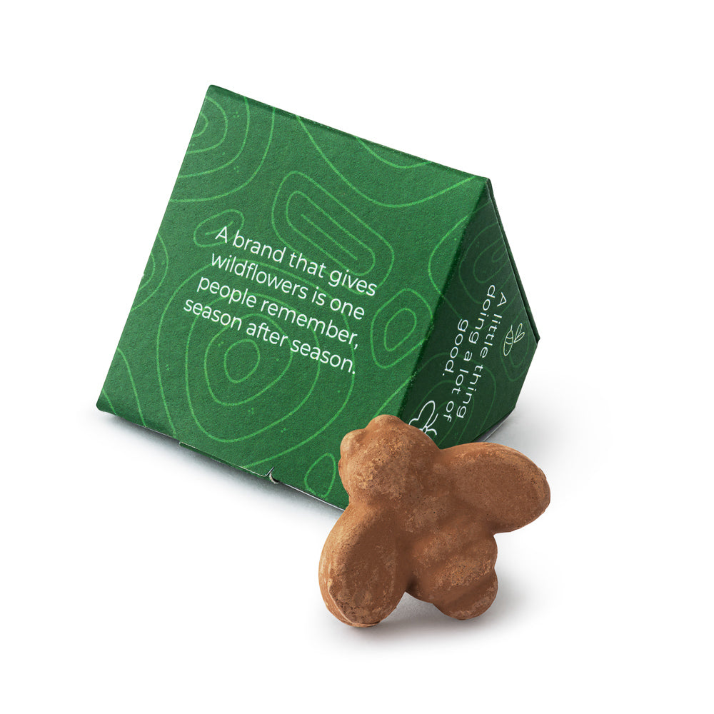 Mini Box of Bee Shaped Seed Bomb