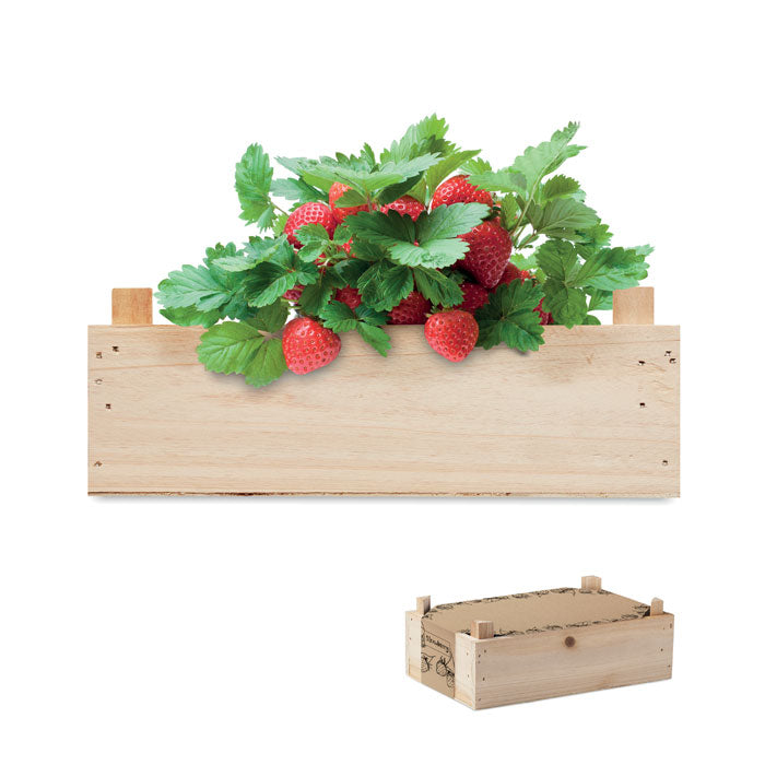 Branded Strawberry kit in wooden crate