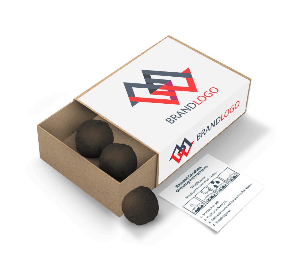 Seed Ball Matchboxes