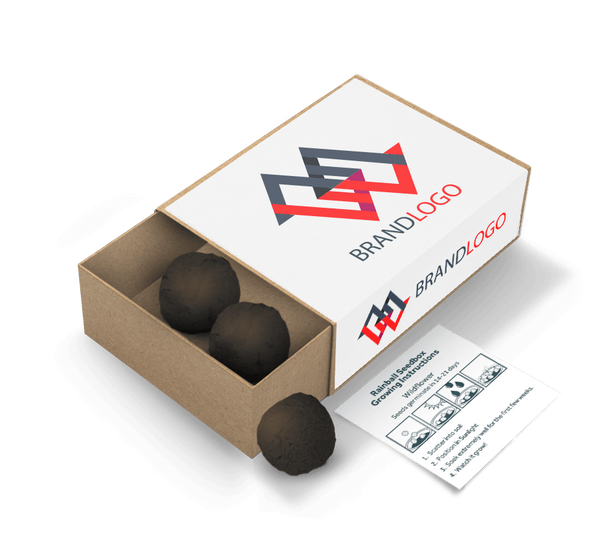 Seed Ball Matchboxes