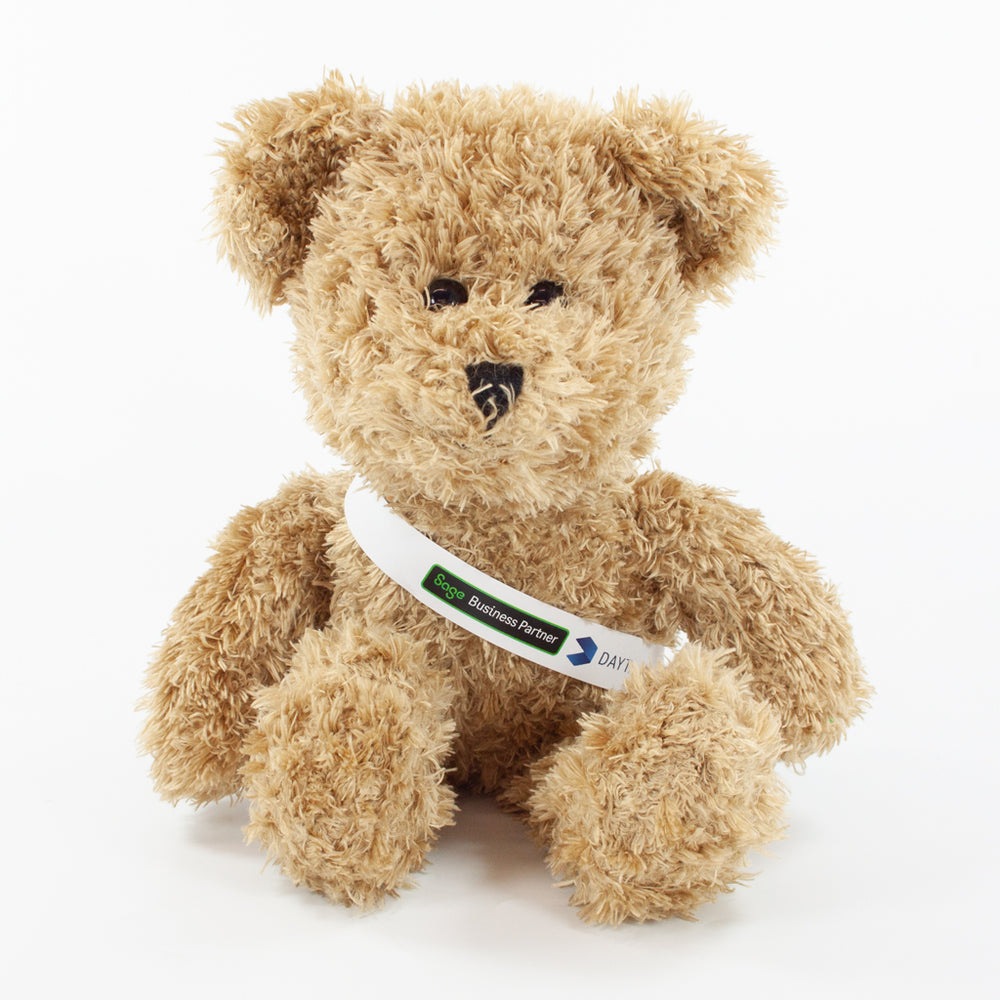 Sash Bear II 25cm Scruffy