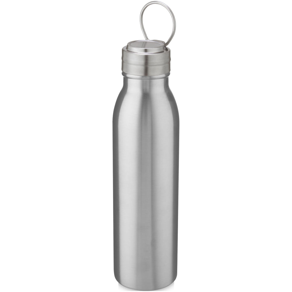 Harper 700 ml stainless steel water bottle with metal loop