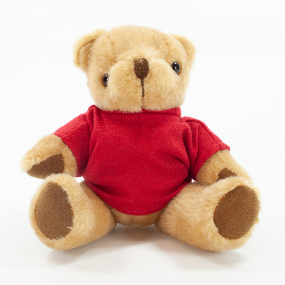 Coloured T-Shirt Bear III