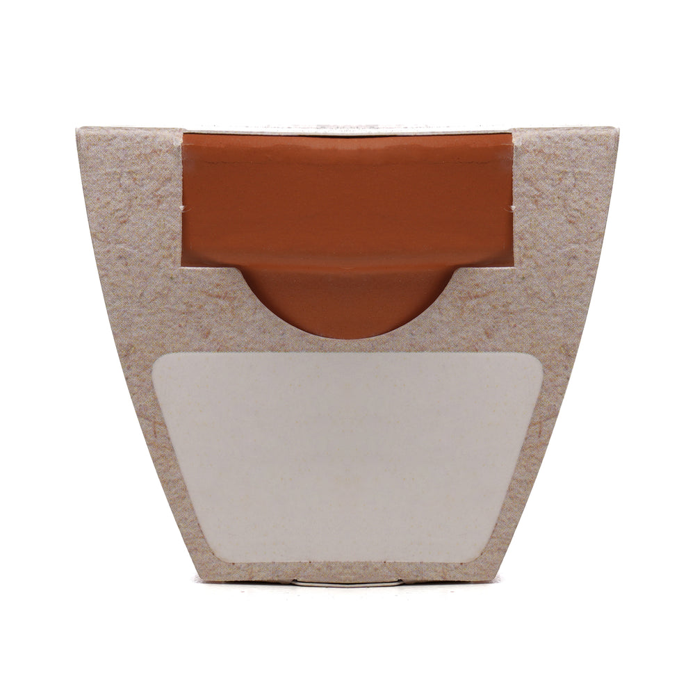 Growing Gift Strawberry