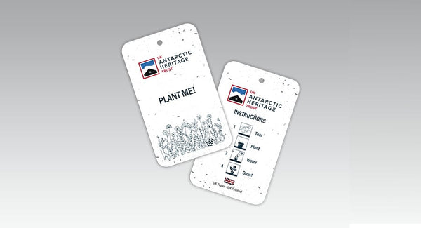 Seeded Paper Swing Tags (2PP)