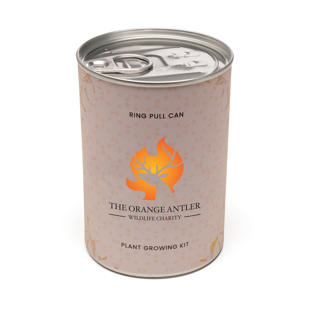 Seed Tin Can Butterfly & Bee Mix