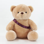 Sash Bear II 25cm Theo