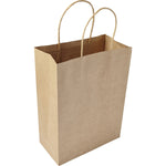 Branded Ground Paper bag (medium)