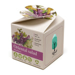 Mini Box Kit Oriental Salad