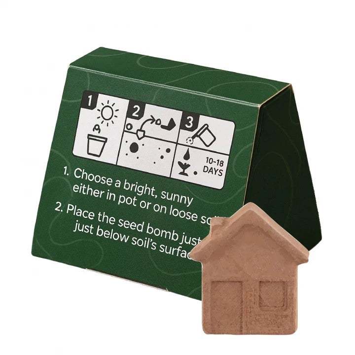 Mini Box of House Shaped Seed Bomb