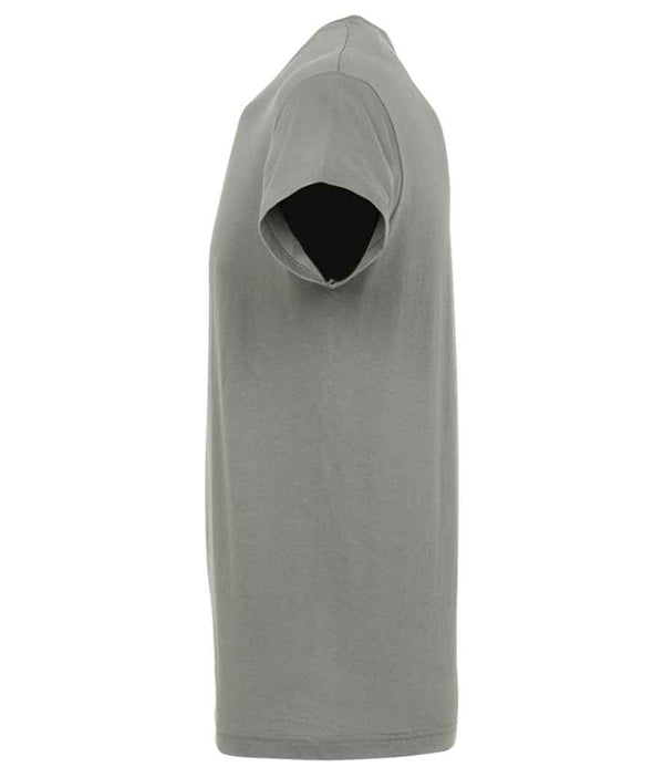 SOL'S Regent T-Shirt Zinc