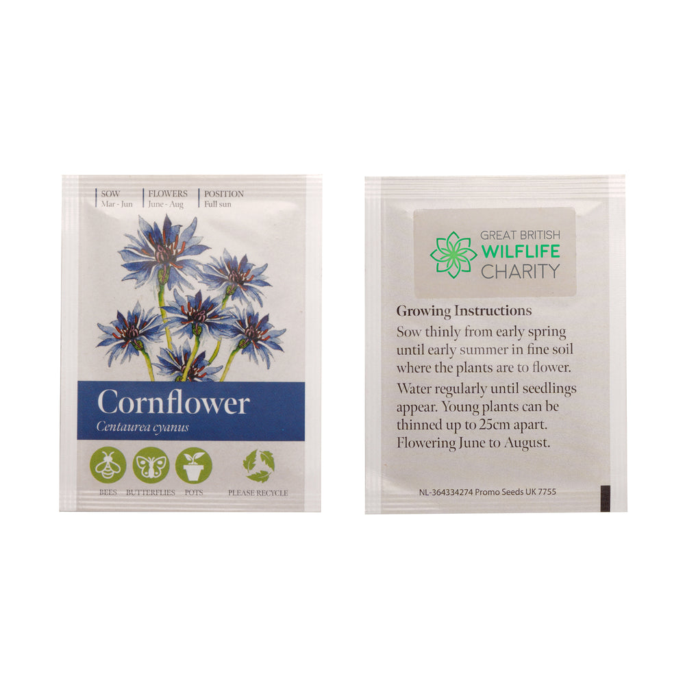Seed Packet with Sticker to back Corn Flower
