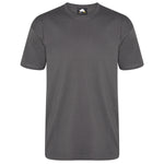 Orn Plover Premium T-Shirt Graphite