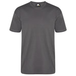 Orn Plover Premium T-Shirt Graphite